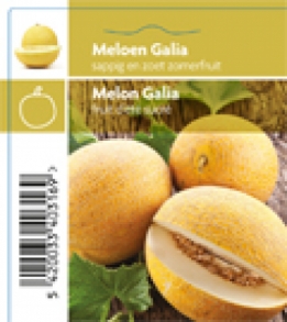 images/productimages/small/316_Meloen Galia-1 kopie.jpg